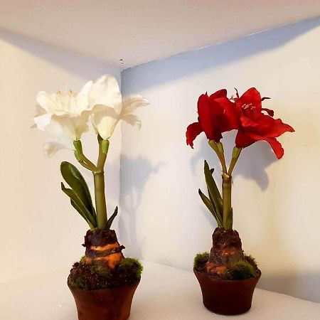 Apartamento Cortadura Beach Cádiz Exteriör bild