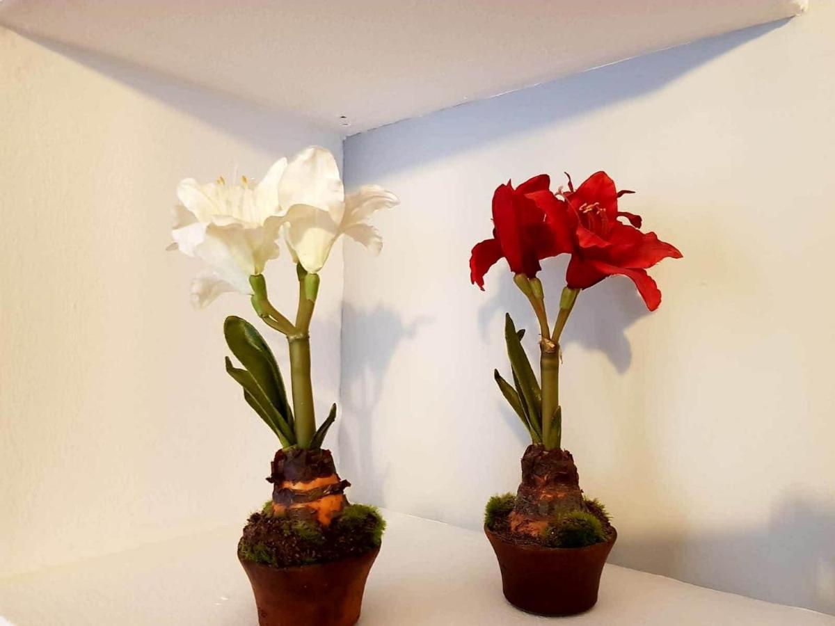 Apartamento Cortadura Beach Cádiz Exteriör bild